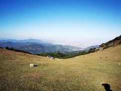 -大姆山草场