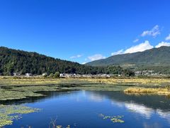 -腾冲北海湿地