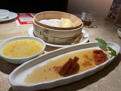 -佬肥猫(七宝宝龙店)