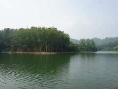 -东莞市大岭山森林公园