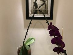 -Isofit 普拉提·婵柔工作室