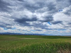 -野鸭湖国家湿地公园