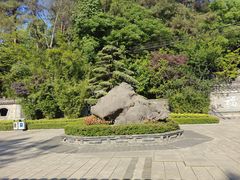 -铁山坪森林公园