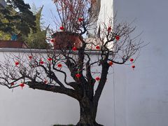 -龙华寺