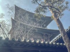 -广富林郊野公园