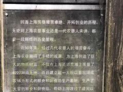 -东平国家森林公园