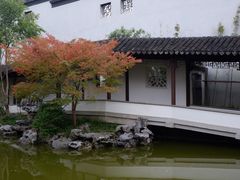 -秋霞圃