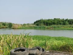 -沙家浜风景区