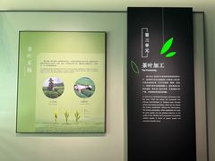 -中国茶叶博物馆(双峰馆区)