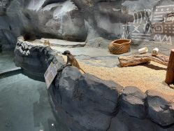 -Zoolung Zoolung动物主题公园(海信广场店)