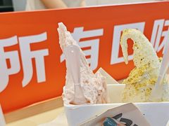 -野人先生现做冰淇淋(西安赛格店)