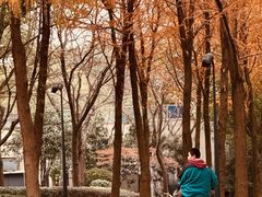 -哈根达斯(滨江店)