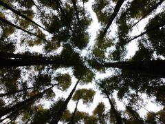 -山王坪喀斯特国家生态公园