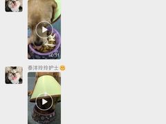 -泰洋动物医院·神经专科·磁共振·CT(天河公园总院)