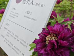 -太阳宫公园