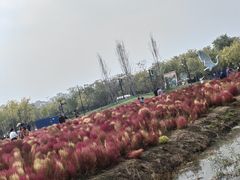 -天津东丽湖风景区