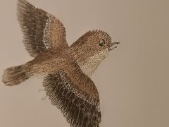 -百富源·海鲜辽菜(和平北大街店)