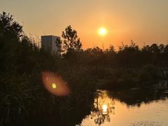 -艾溪湖湿地公园