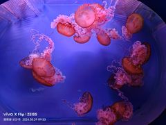 -长沙海底世界