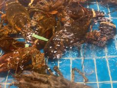 -新丁香海鲜酒店(银海商贸城店)