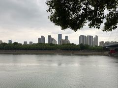 -月湖风景区