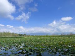 -野鸭湖国家湿地公园