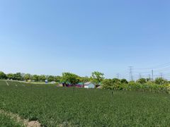 -上海杨姆庄园