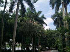 -南宁南湖公园
