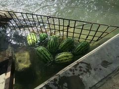 -青海湖国家重点风景名胜区售票处