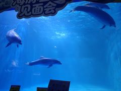 -多彩贵州城极地海洋世界