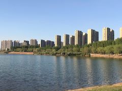 -丁香湖公园