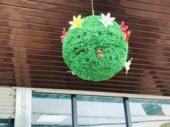 -花悦农庄 | 烧鸡·竹筒饭(沙迳高沙温泉香溪堡店)