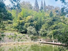 -莫干山风景区