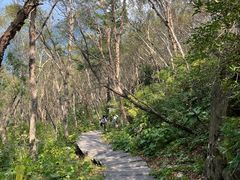 -白草畔自然风景区