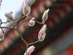 -北京颐和宾馆