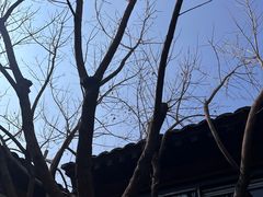 -VOYAGE COFFEE(杨梅竹店)