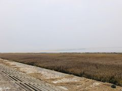 -南汇嘴观海公园