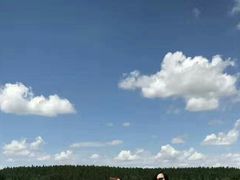 -塞罕坝国家级自然保护区