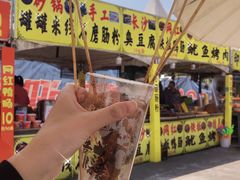 -美心红酒小镇游乐园