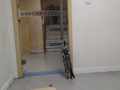 -喜多萌中农锦绣动物医院24H·猫科·牙科MRI·CT