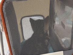 -四月宠物医院·猫专科·心脏专科·内科(转塘店)