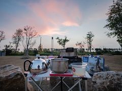 -春花秋色城市公园