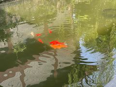 -浙江省博物馆(孤山馆区)