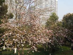 -重庆彩云湖湿地公园