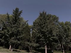 -玲珑塔公园
