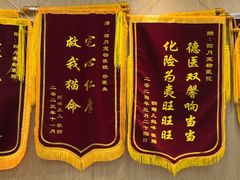 -四月宠物医院·猫专科·心脏专科·内科(转塘店)