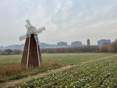 -长兴太湖图影湿地文化园