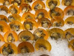 -芭菲盛宴·环球美食(锦城万达广场店)