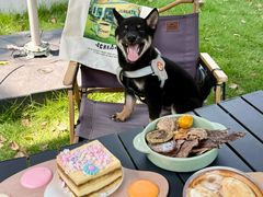 -J Create城市露营咖啡·简餐·宠物(上海动物园店)