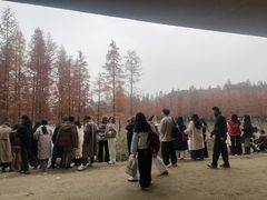 -白鹭湾湿地公园